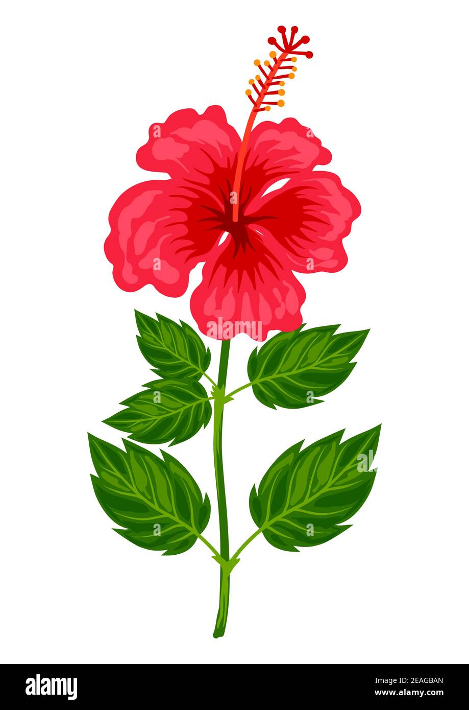 Illustration of tropical hibiscus flower Stock Vector Image & Art - Alamy