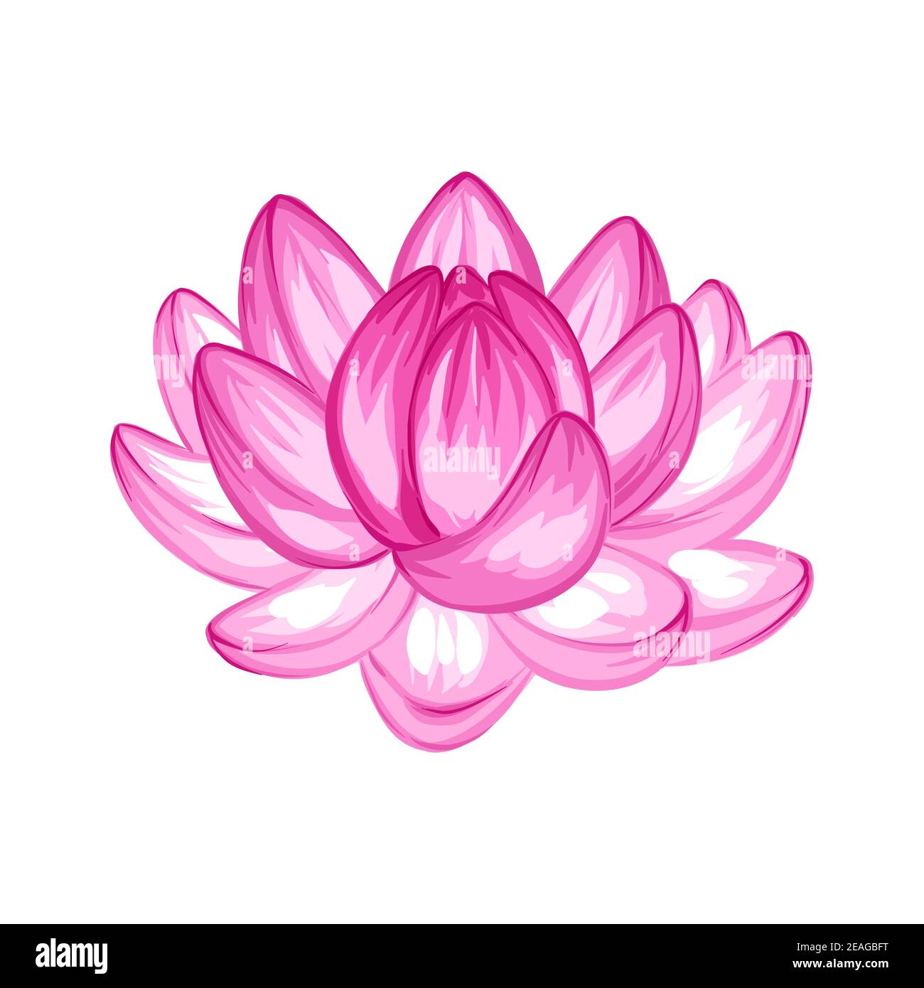 Illustration of lotus flower. Stock Vector