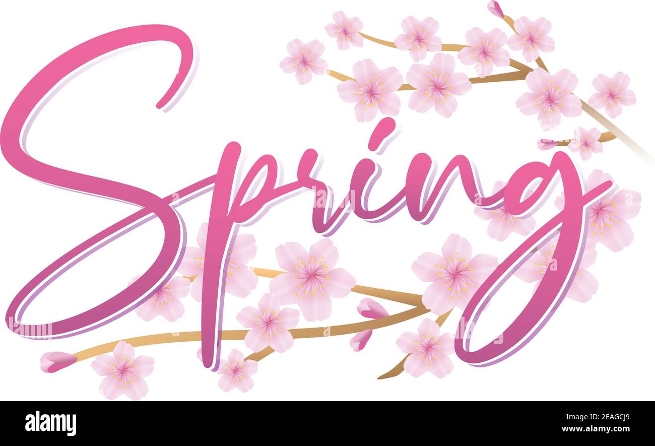 Spring Banner with Cherry Blossom Stock Photo - Alamy