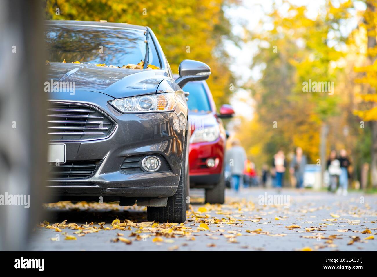 Cars parked in a row on a city street side on bright autumn day with ...