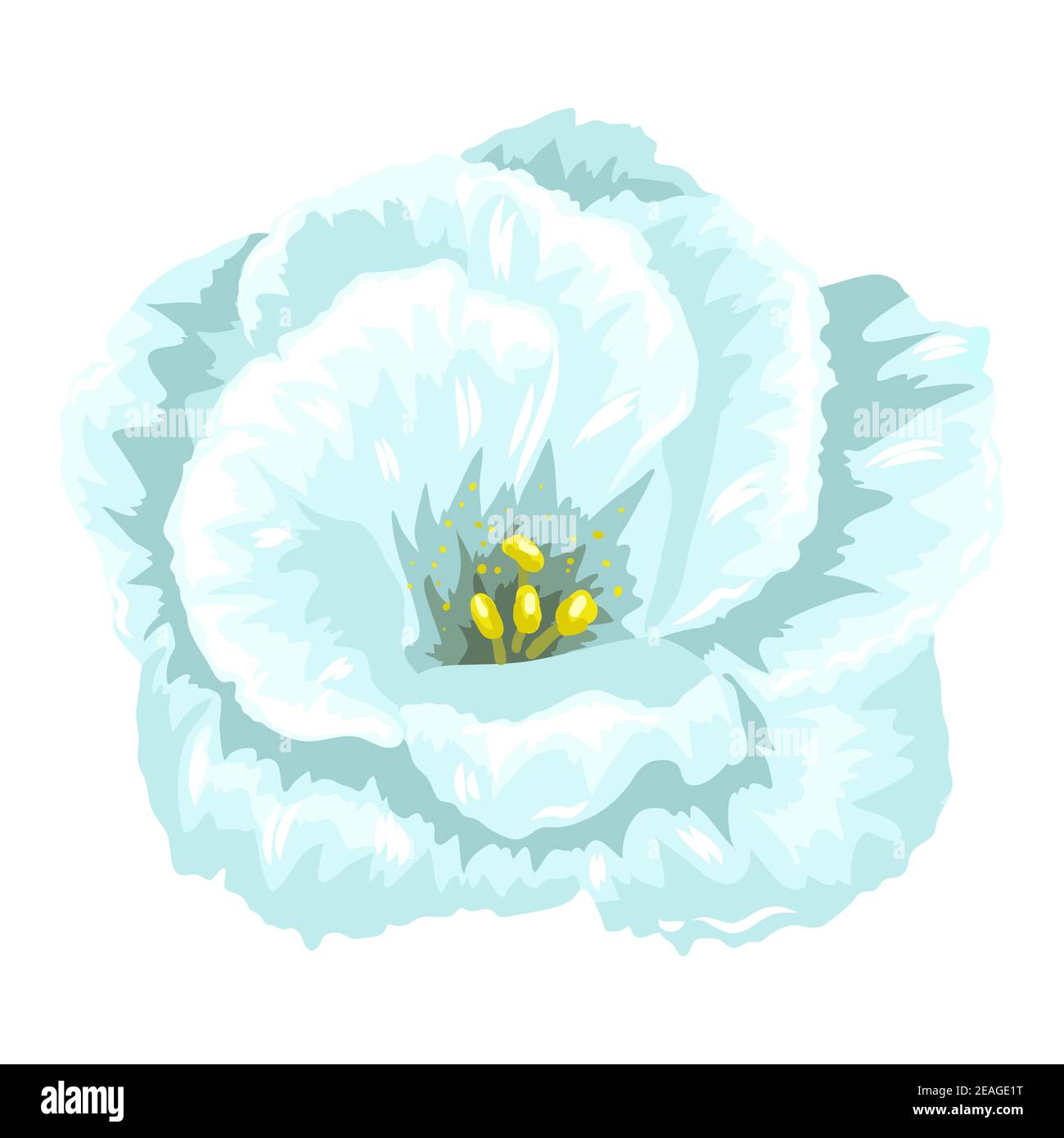 Illustration of blooming carnation flower Stock Vector Image & Art - Alamy