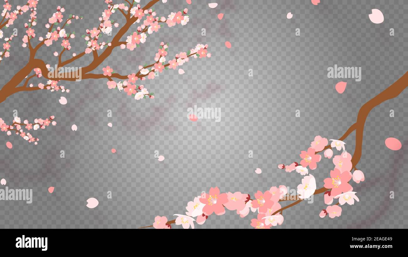 Sakura branch with falling petals Vector illustration. Pink Cherry ...