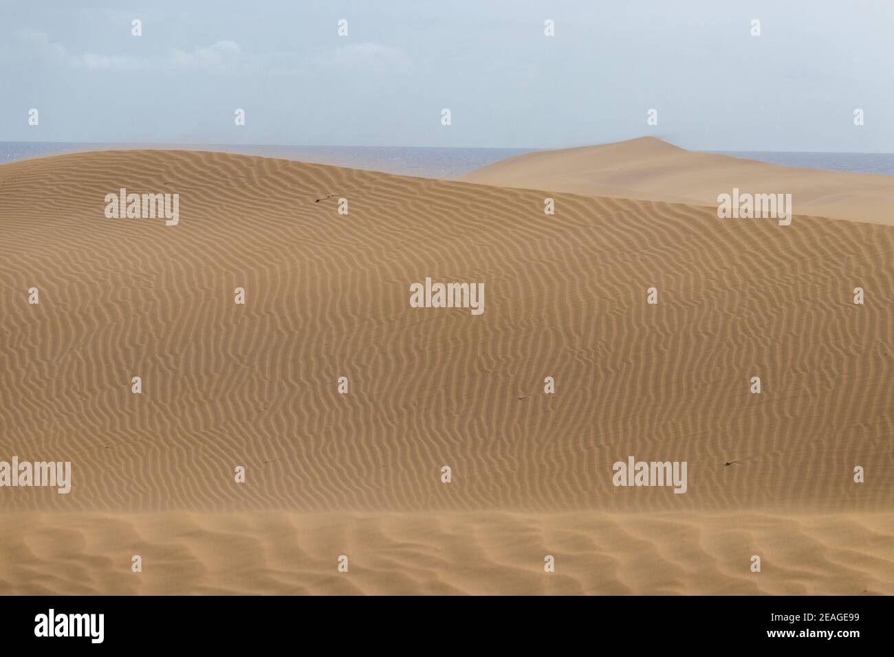 Wind changing the shape of the golden desert dunes of Maspalomas on