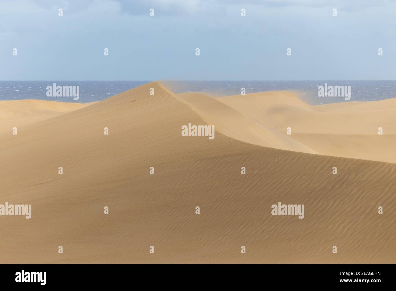 Wind changing the shape of the golden desert dunes of Maspalomas on