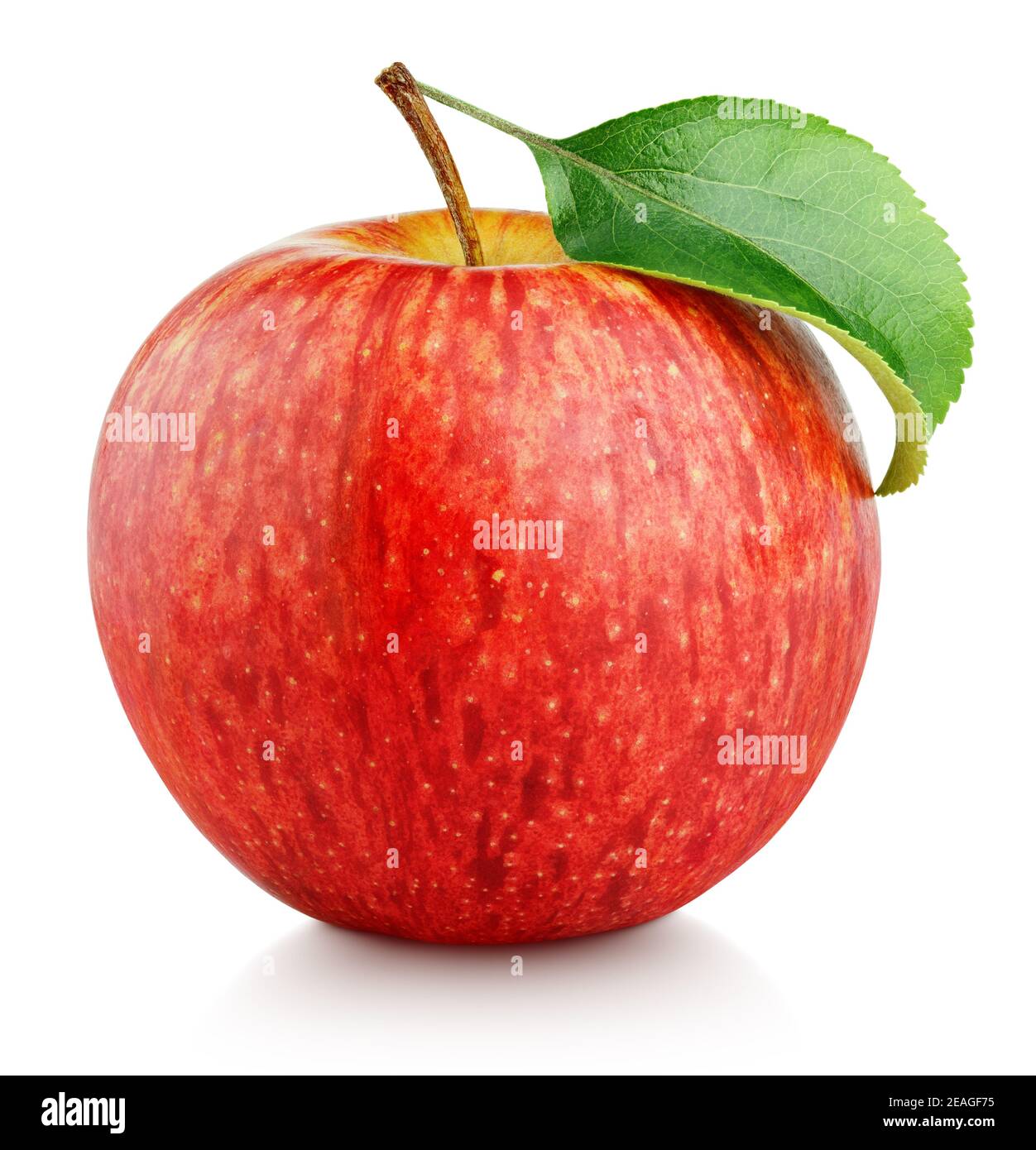 Red Apple Two Organic Fresh Red Apples With A White Background Two Red  Apples With Leaf Isolated On White Background Stock Photo - Download Image  Now - iStock