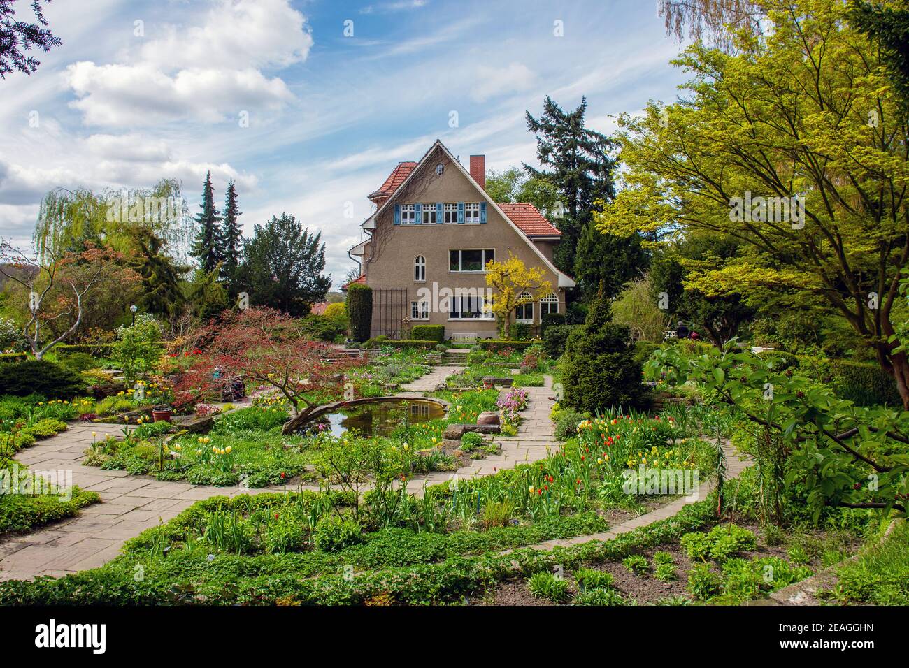 Amazing flowers garden and pond with japanese maple  next to Karl Foerster house in Potsdam , Berlin area. Lovely springtime day (April) Stock Photo