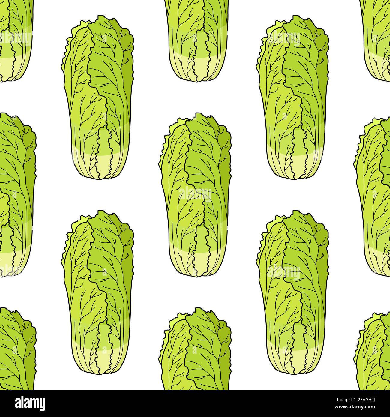 Seamless pattern of fresh cartoon Chinese lettuce in square format Stock Vector