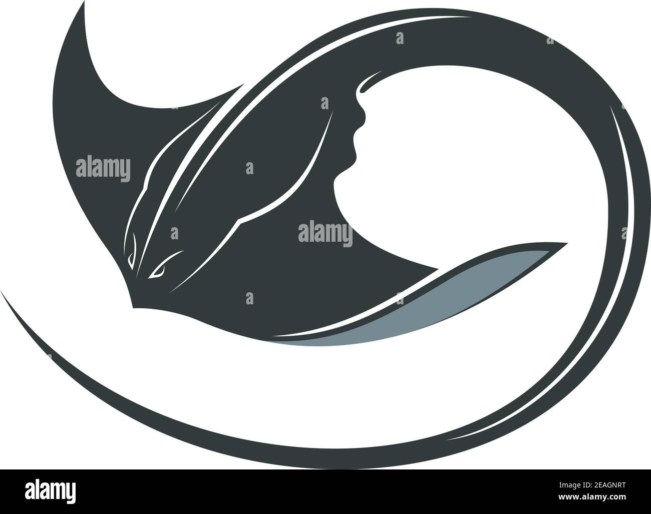 Swimming manta ray or sting ray with a curly tail and outspread pectoral fins for sealife concept Stock Vector