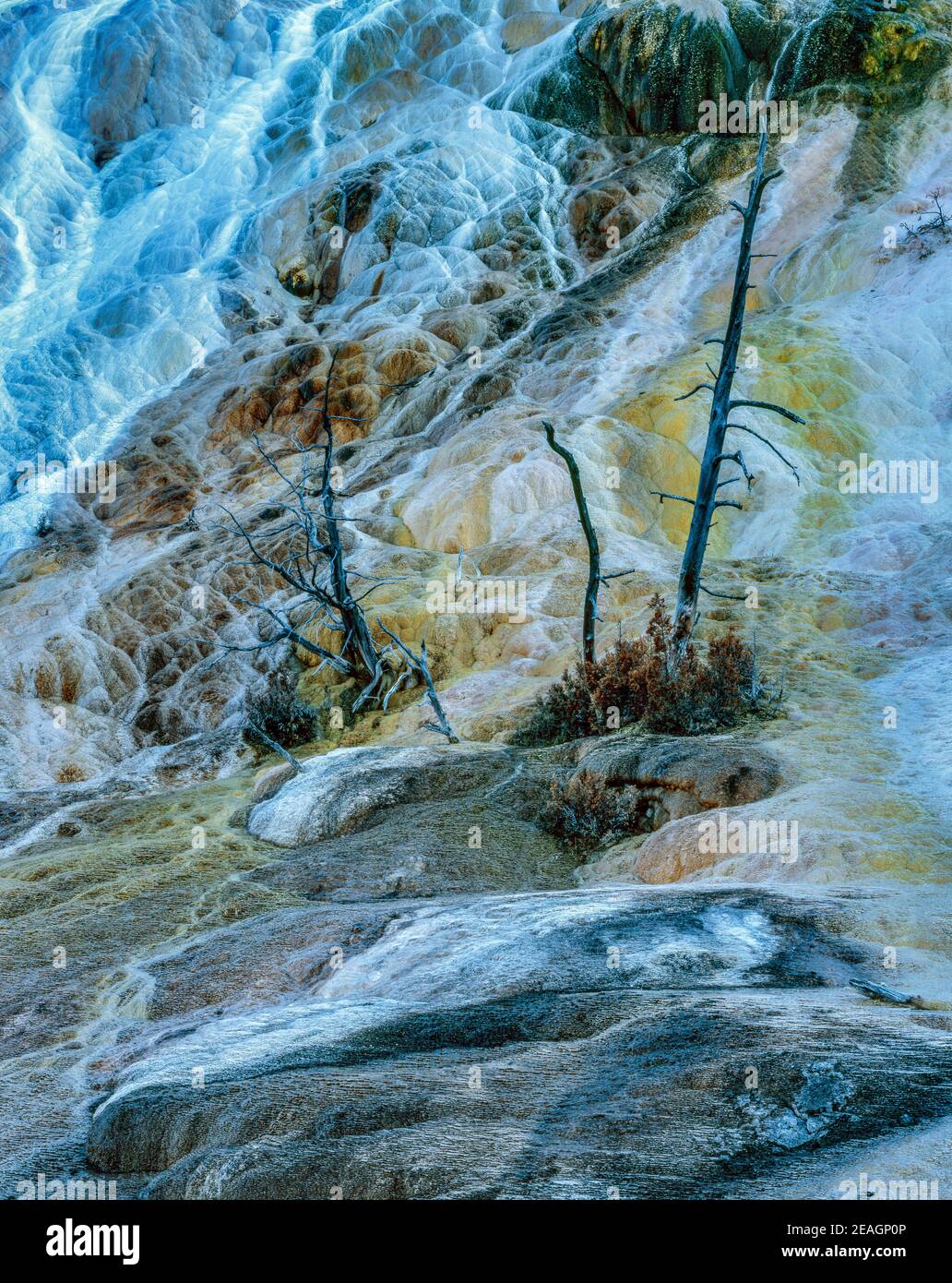 Palette Spring, Mammoth Hot Springs, Yellowstone National Park, Wyoming Stock Photo