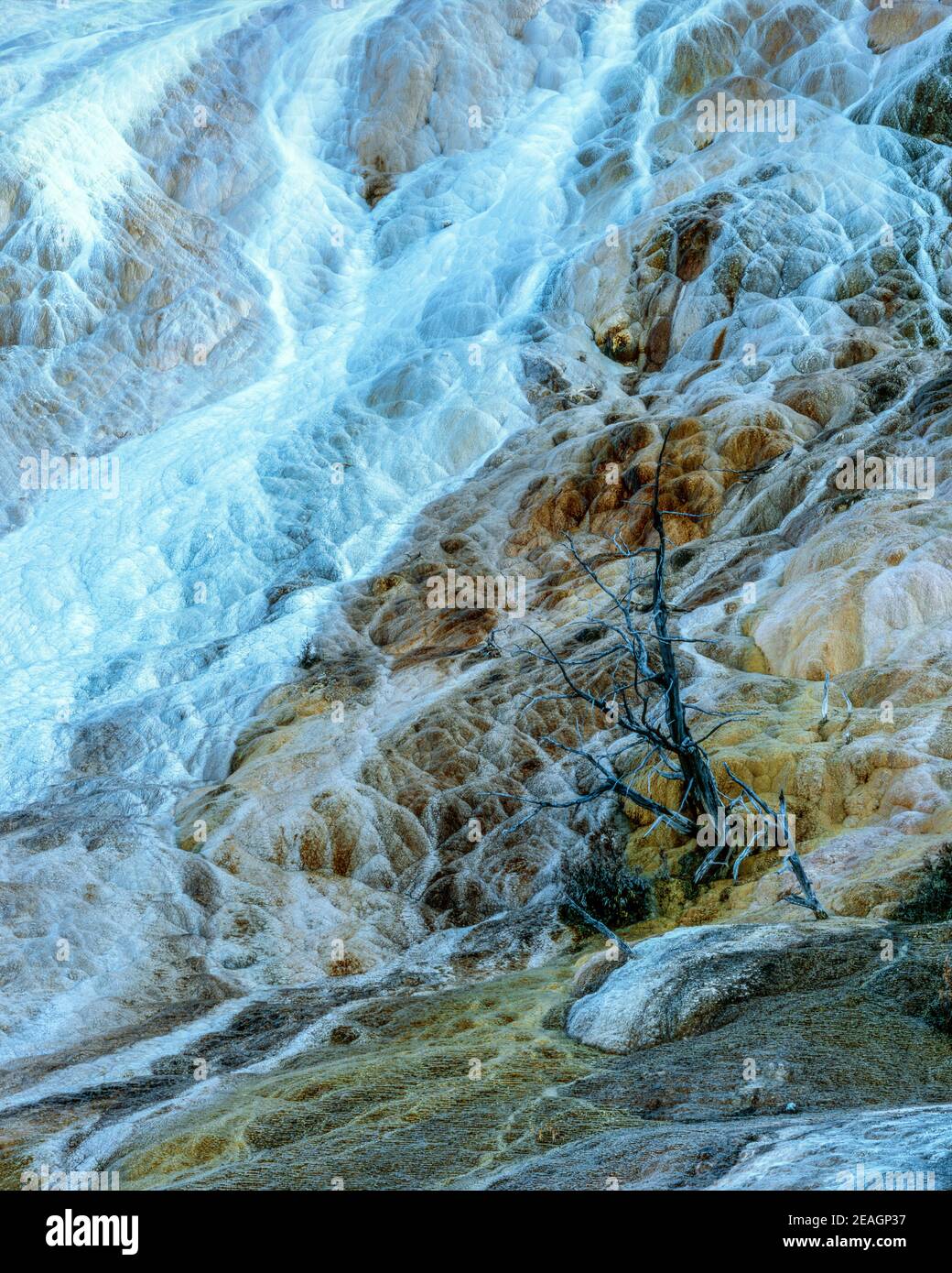 Palette Spring, Mammoth Hot Springs, Yellowstone Natronal Park, Wyoming Stock Photo