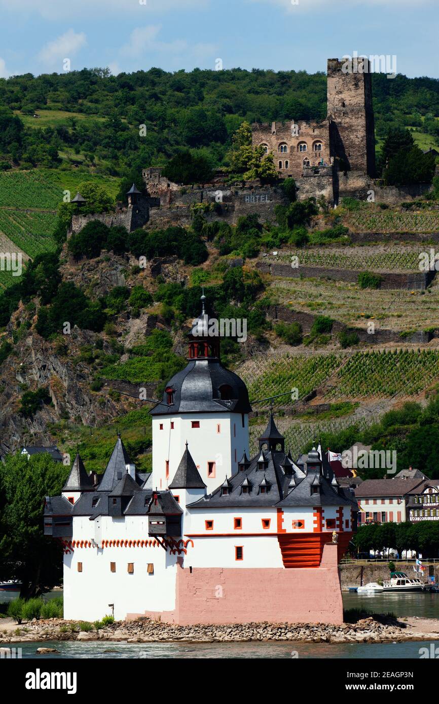 Burg Pfalzgrafenstein, a toll castle on the Rhine (Rhein) River. On the steep terraced hillside of grapes behind it lies Burg Gutenfels. Stock Photo