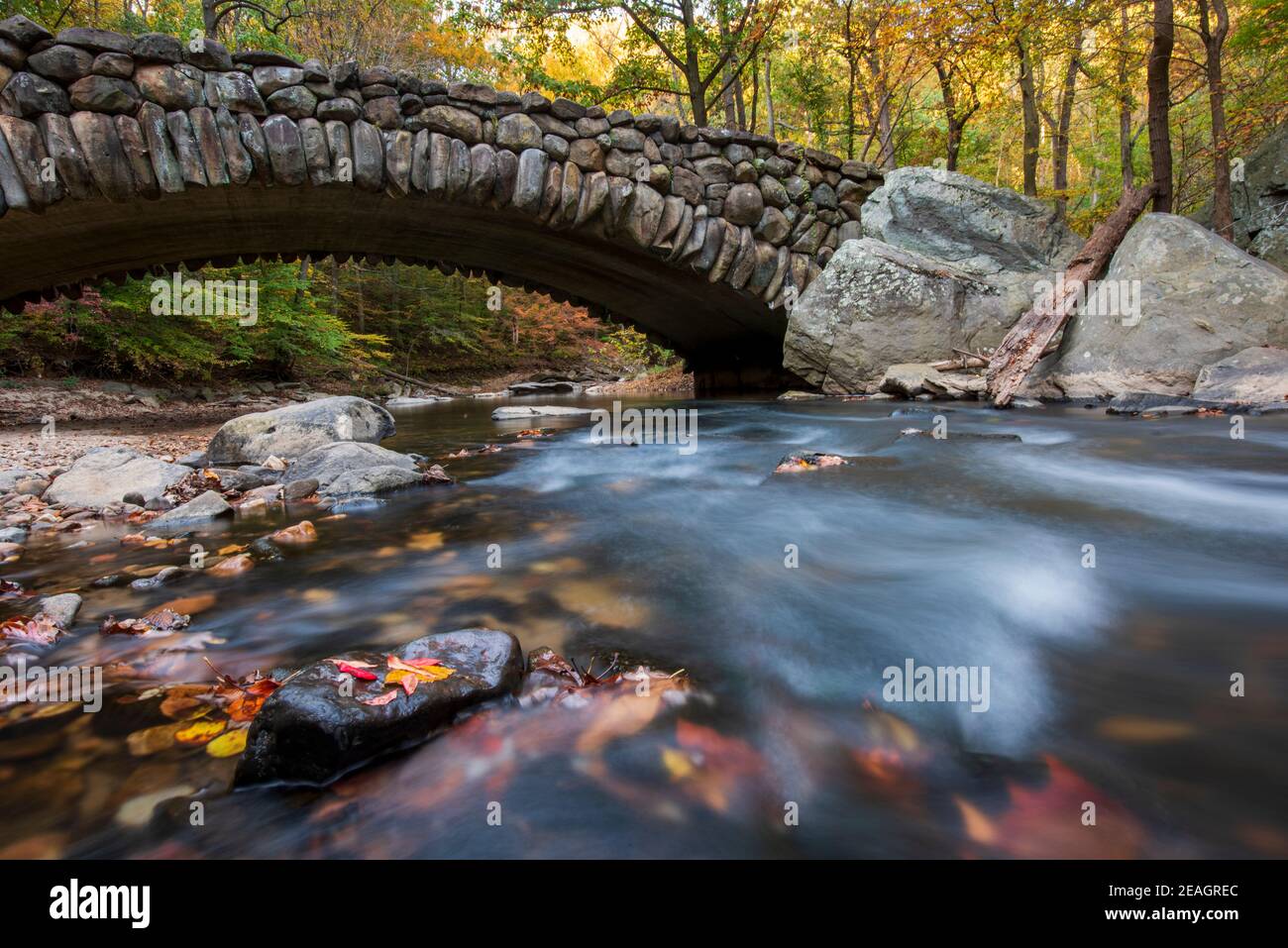 Fall foliage frames Boulder Bridge in Rock Creek Park, Washington, DC in Autumn. Stock Photo