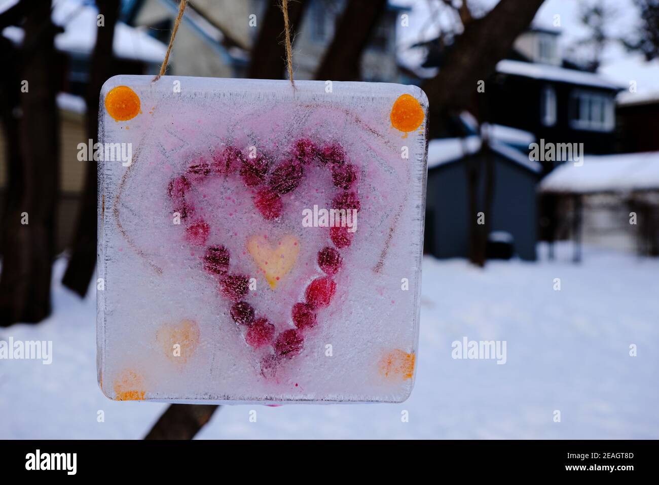 Icy art display of tableau of a heart made from fruit frozen in ice hanging in trees in Ottawa Park Stock Photo