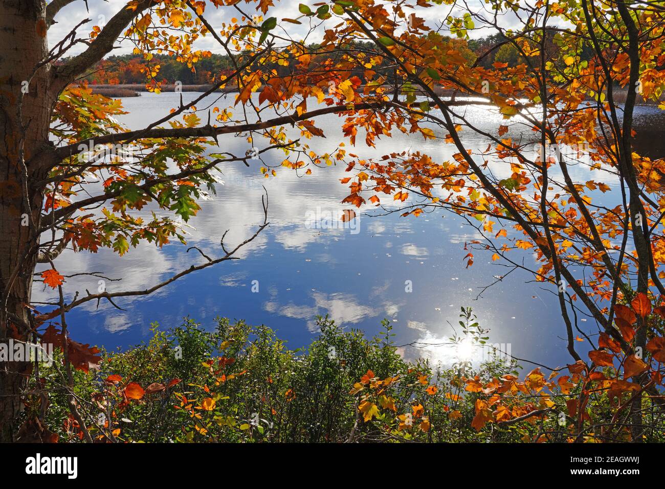 Scarborough beach maine hires stock photography and images Alamy