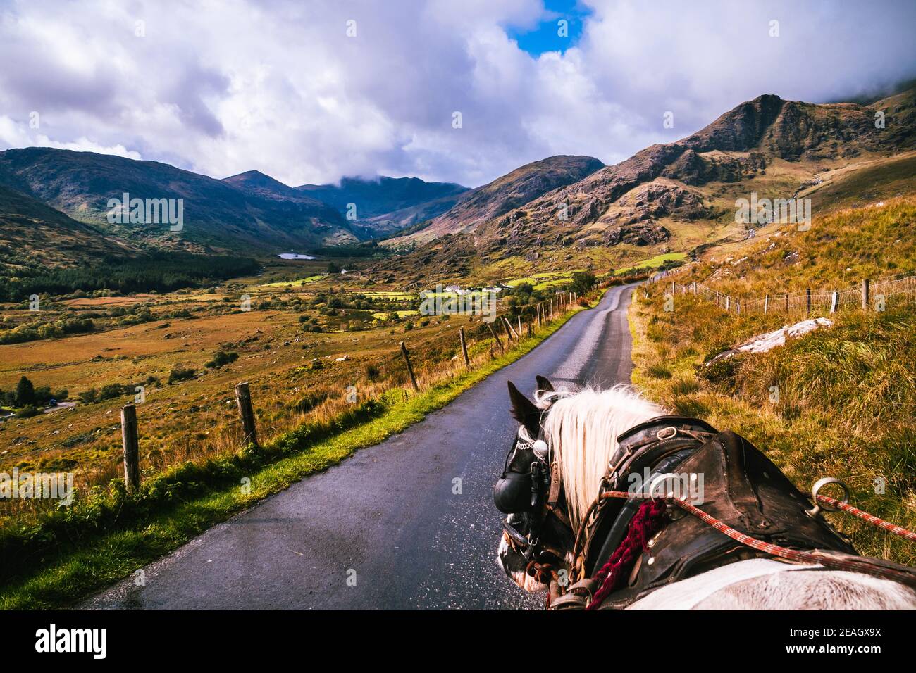Landscape of the Black Valley from the jumping cart with a horse. Stock Photo