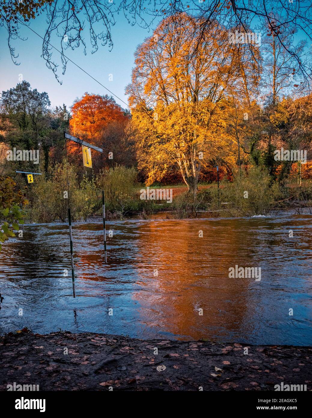 Autumn trees in the park with the river and kayak gates. Stock Photo