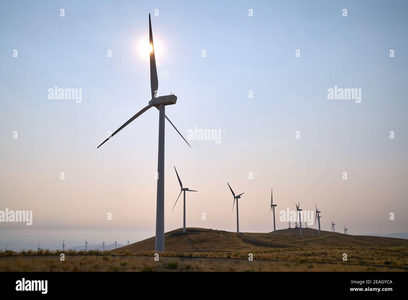 Windfarm Turbines in the Sun. Wind turbines on an arrid field of grass in Washington State. Stock Photo