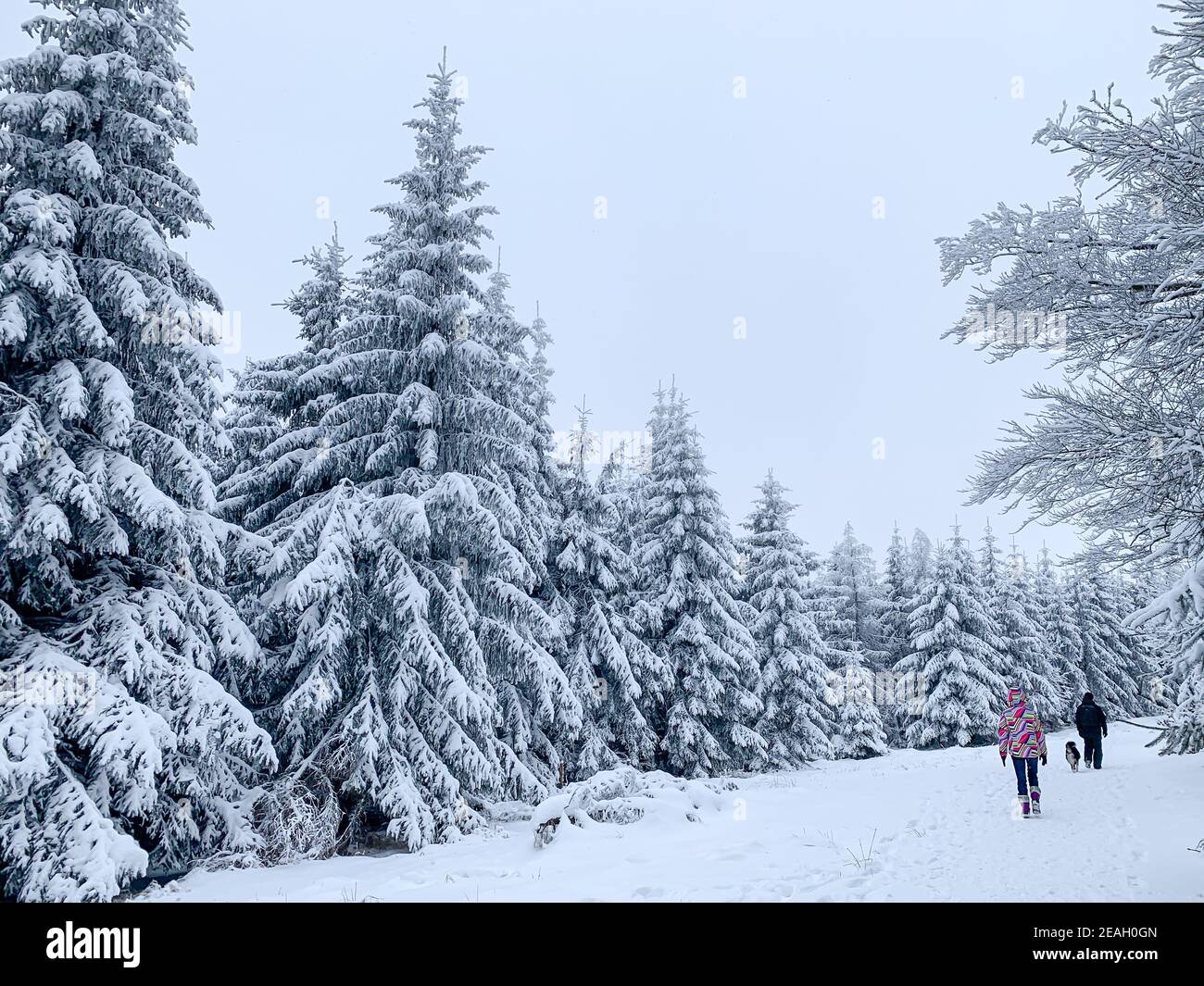 Happy Family with dog walking through a snow covered forest. Beautiful winter landscape. Stock Photo