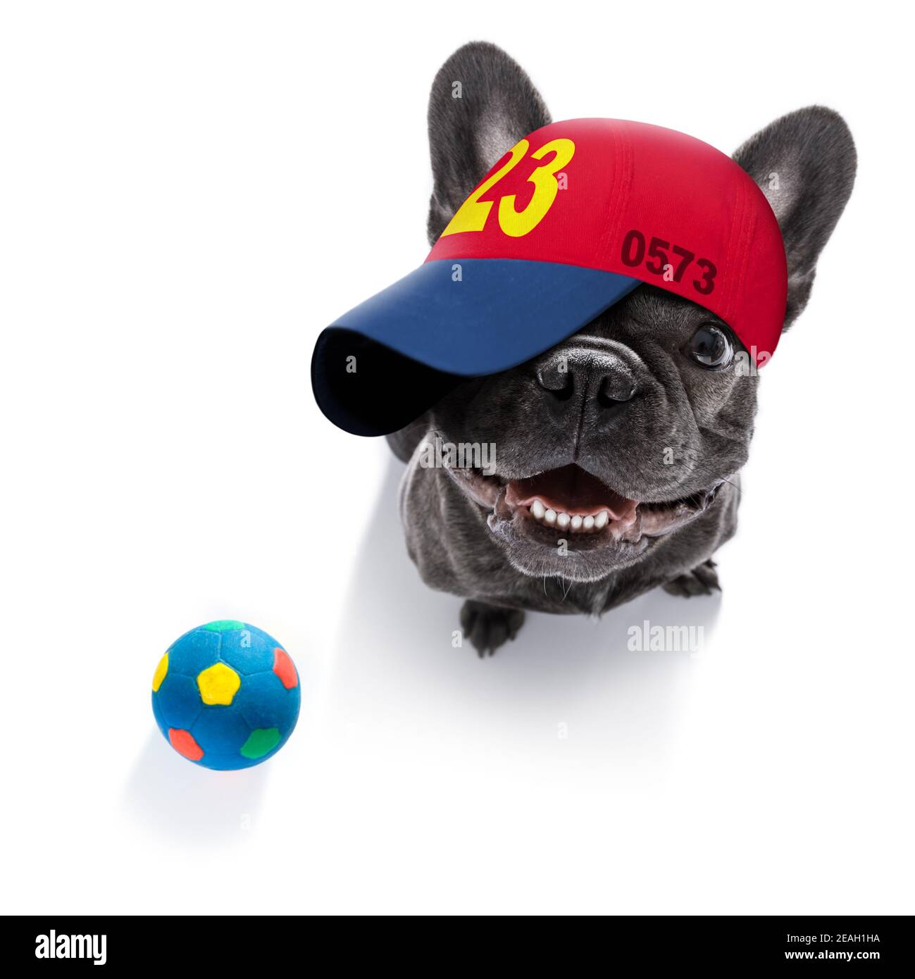 French bulldog baseball cap sale
