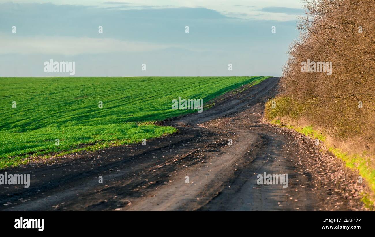 Grass growing along rural road hi-res stock photography and images - Alamy