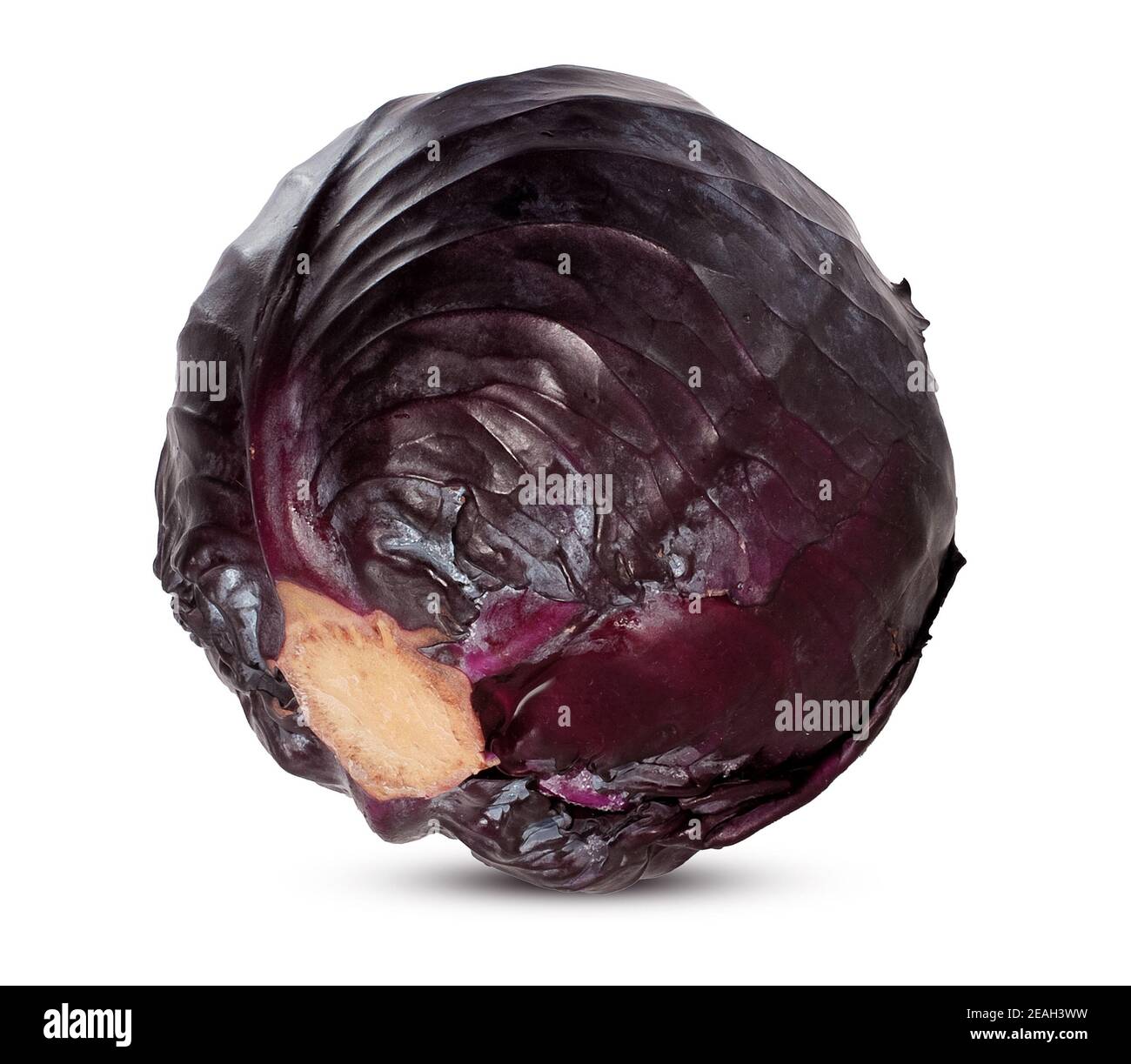 cabbage isolated on white background Stock Photo