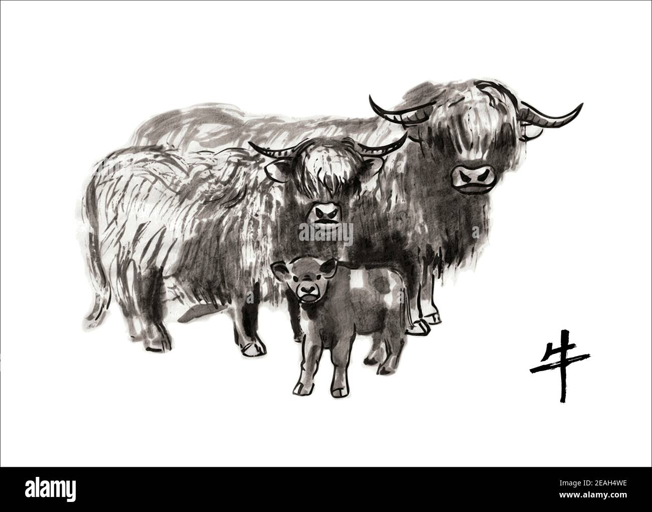 Family of Highland cattle: bull, cow and calf, vector sumi-e illustration. Oriental ink wash painting . Symbol of the eastern new year of the Ox. Stock Vector