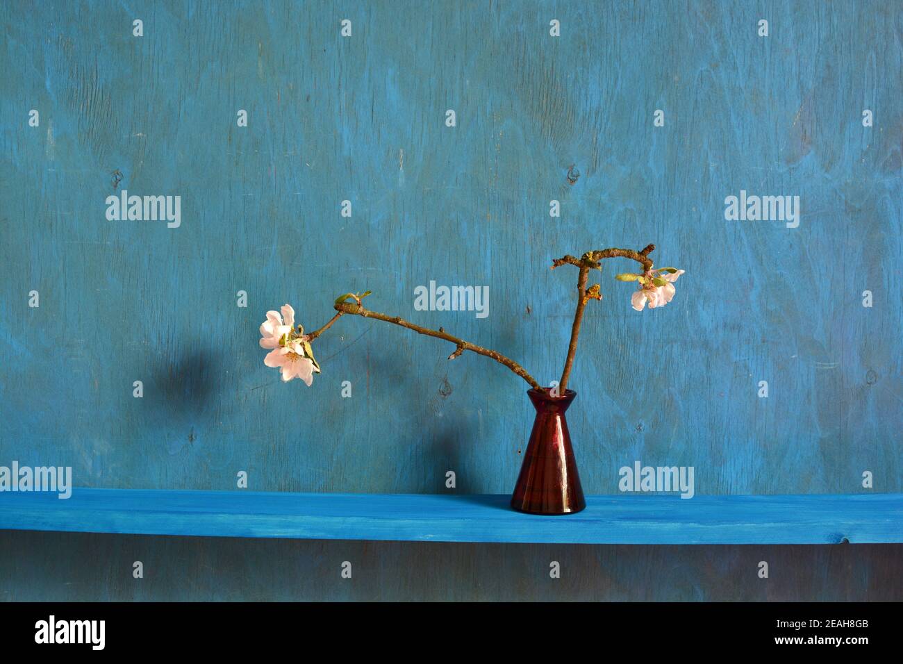 Still life with red vase and blossoming apple tree branches Stock Photo