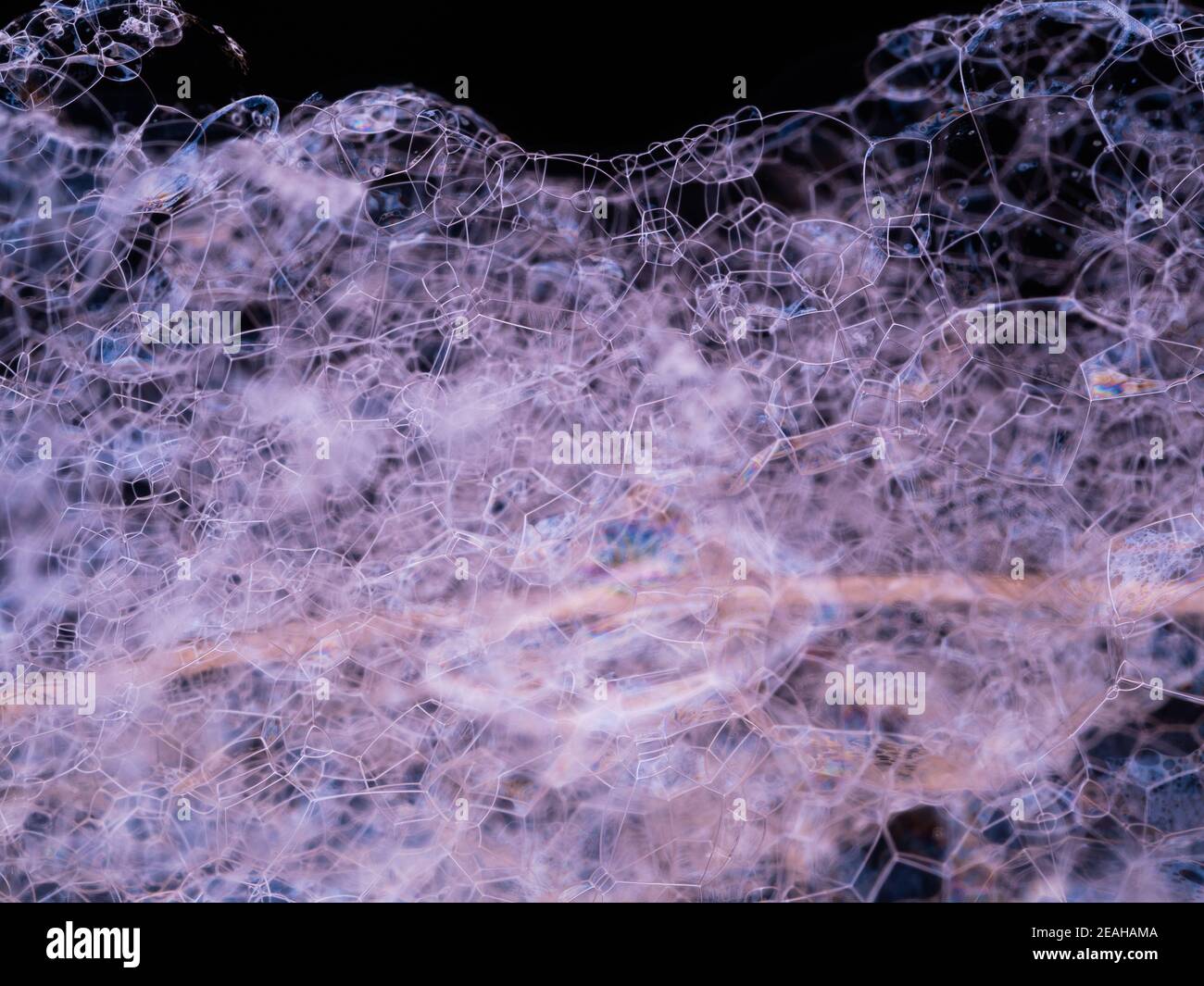Abstract pattern from soap foam. Macro shot soap foam structure with soft focus. Stock Photo