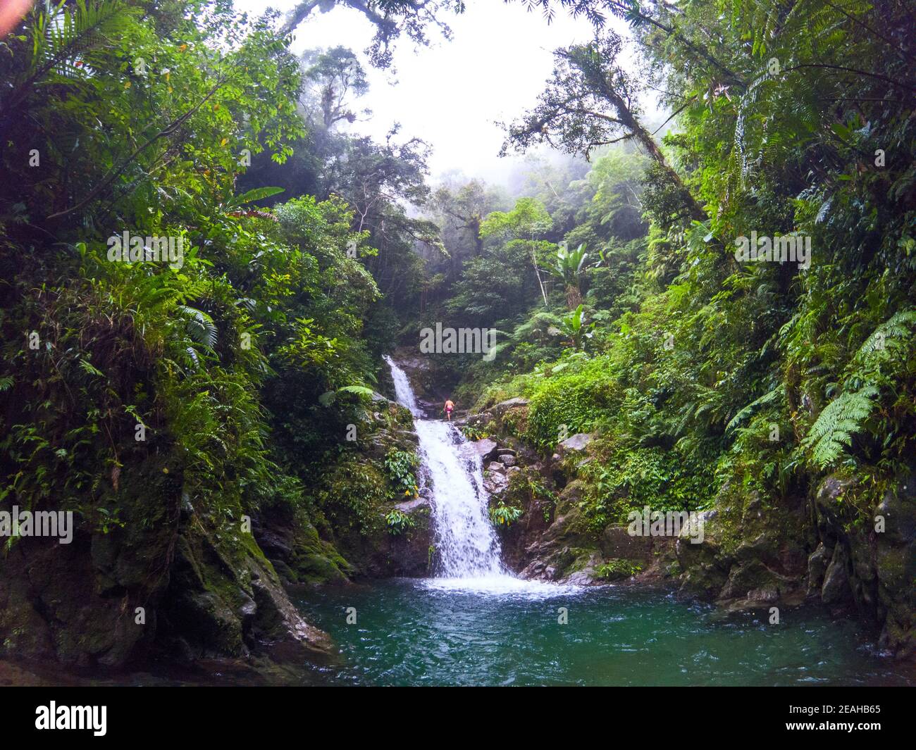 Tropical jungle waterfall and man tourist, wild nature landscape photo. Male tourist on top of tall waterfall. South Asia wild jungle adventure. Hydro Stock Photo