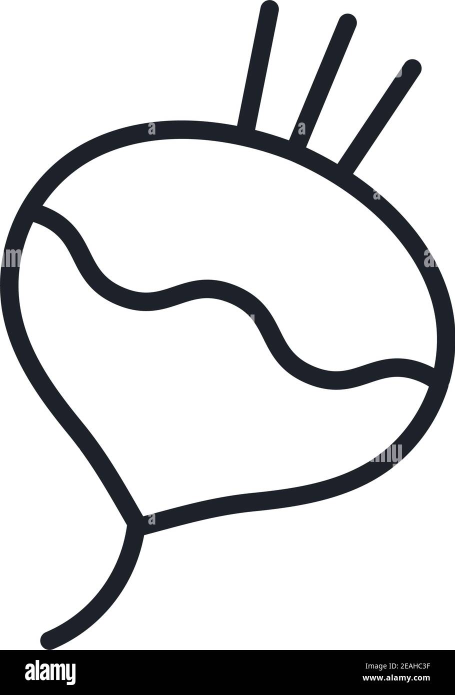 Turnip icon. Vector linear icon, contour, shape, outline isolated on a ...