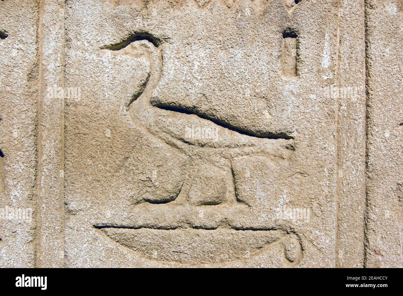 ancient-egyptian-hieroglyphic-carving-of-a-duck-temple-of-horus-at-edfu-egypt-2EAHCCY.jpg
