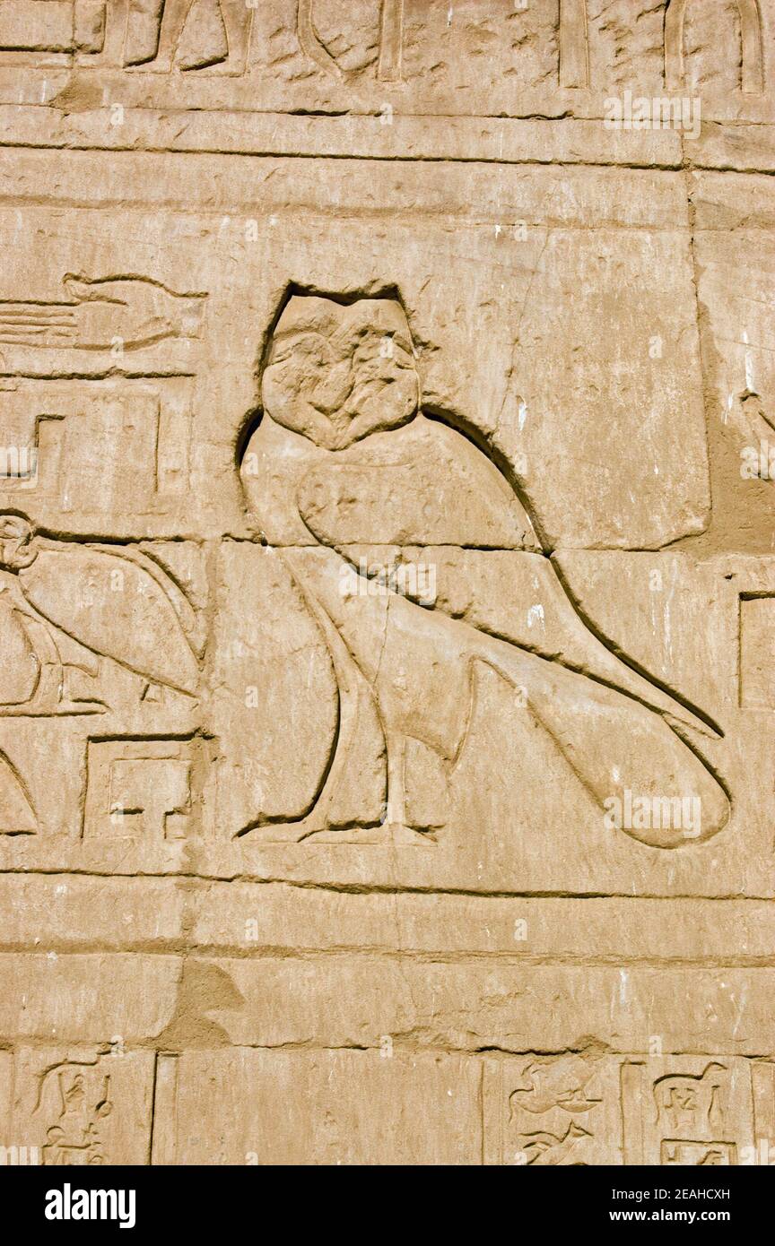 Owl hieroglyphic hires stock photography and images Alamy
