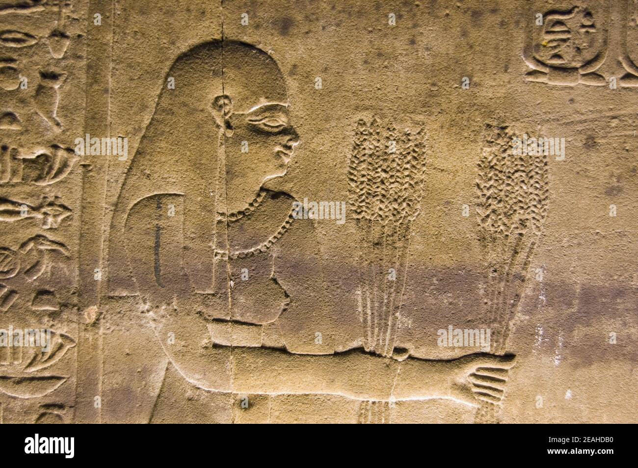 Ancient egyptian stone carving of a priestess presenting wheat crop harvest to the gods