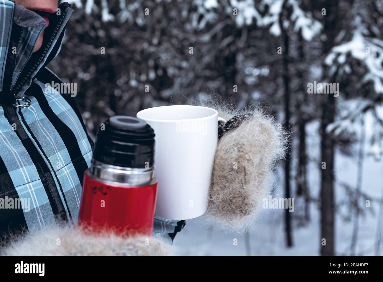 https://c8.alamy.com/comp/2EAHDF7/close-up-woman-in-a-warm-clothing-holds-a-red-thermos-with-a-hot-drink-and-a-white-mug-winter-forest-background-2EAHDF7.jpg