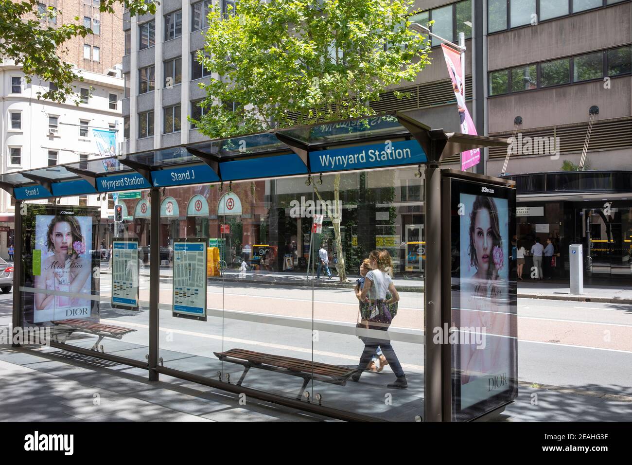 Sydney bus station, Wynyard bus stop on York street in Sydney city centre,NSW,Australia Stock Photo