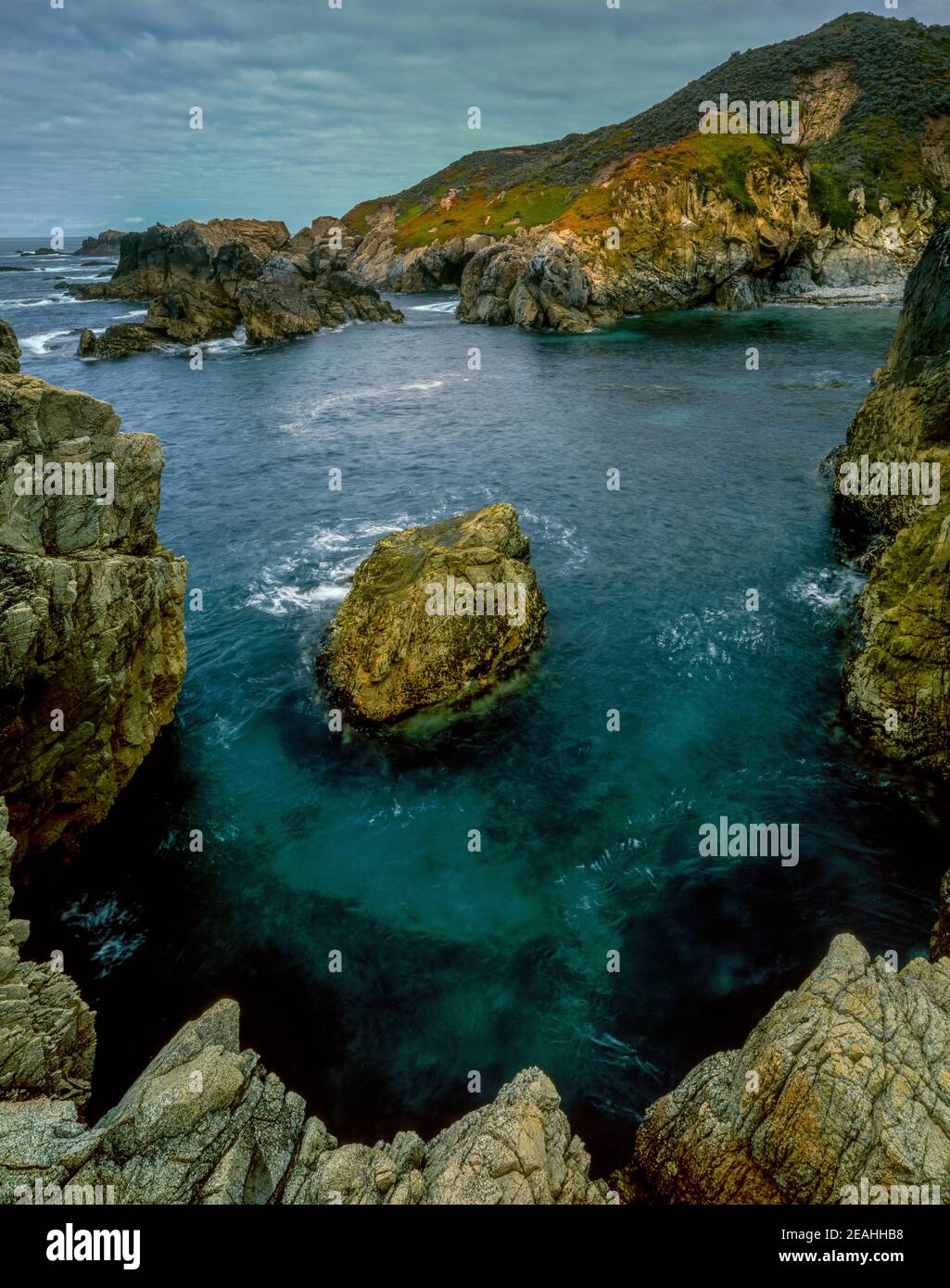 sea-otter-refuge-hi-res-stock-photography-and-images-alamy