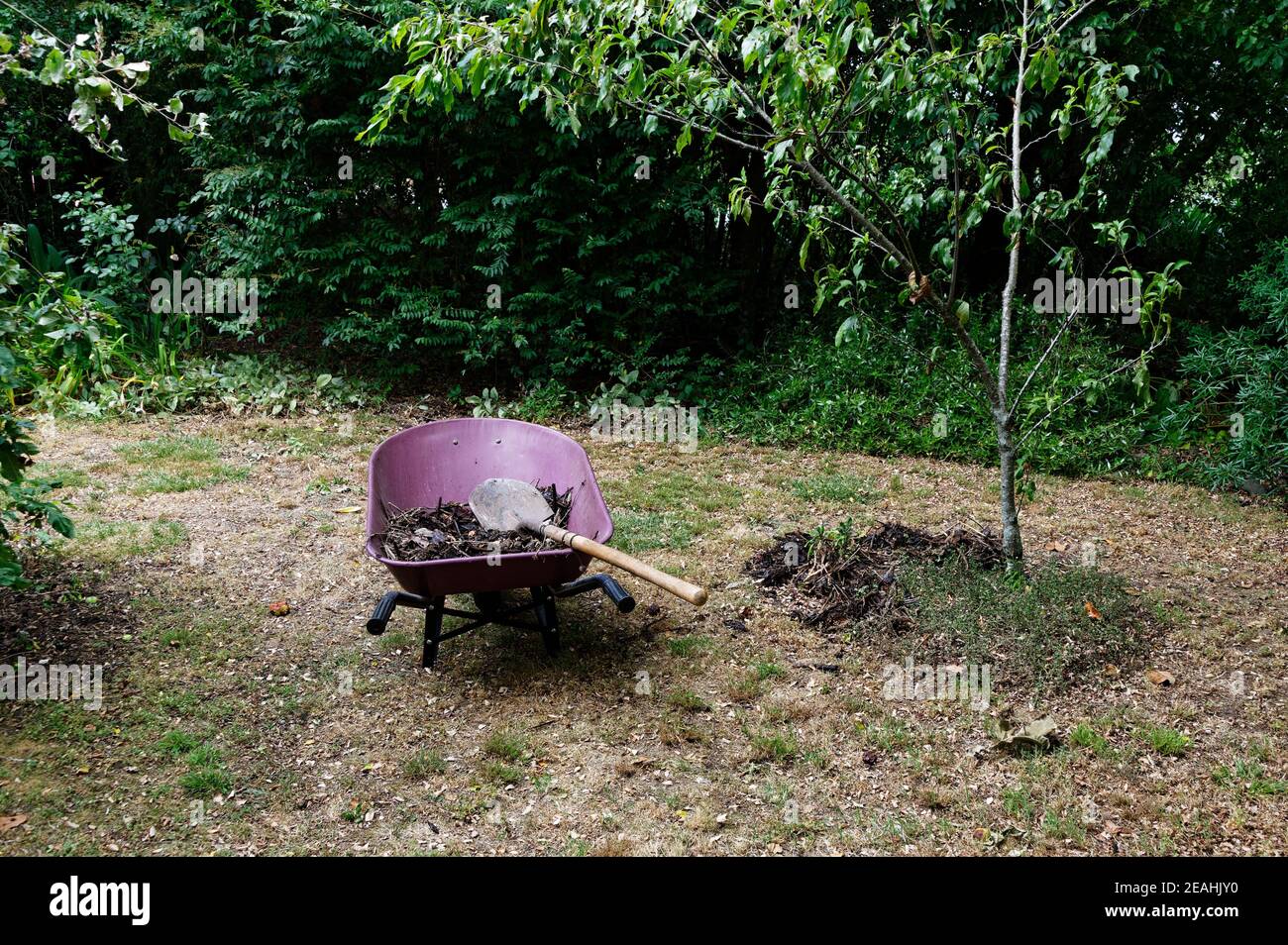 Spreading mulch tree hires stock photography and images Alamy