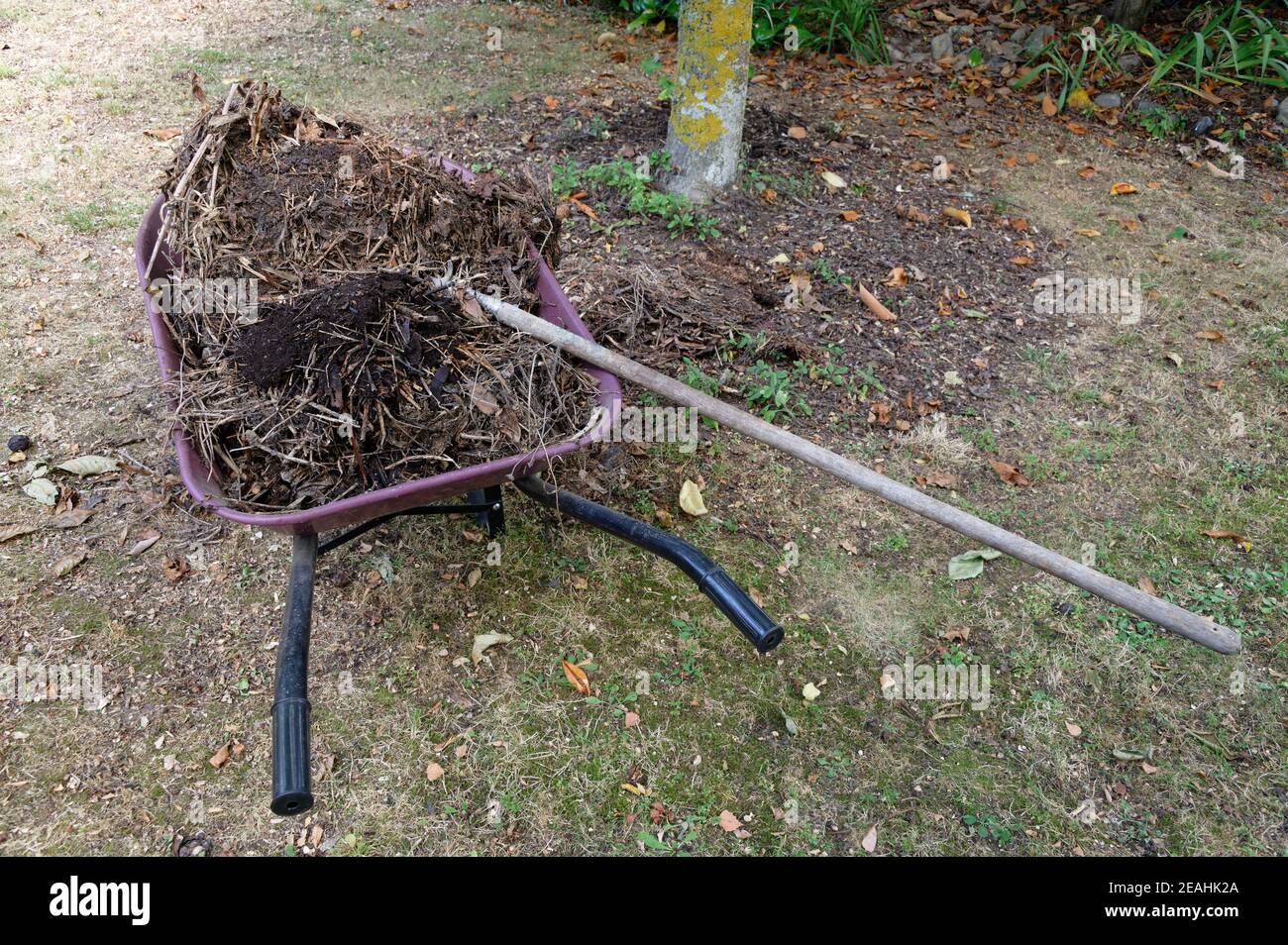 Compost fork garden hi-res stock photography and images - Page 3 - Alamy