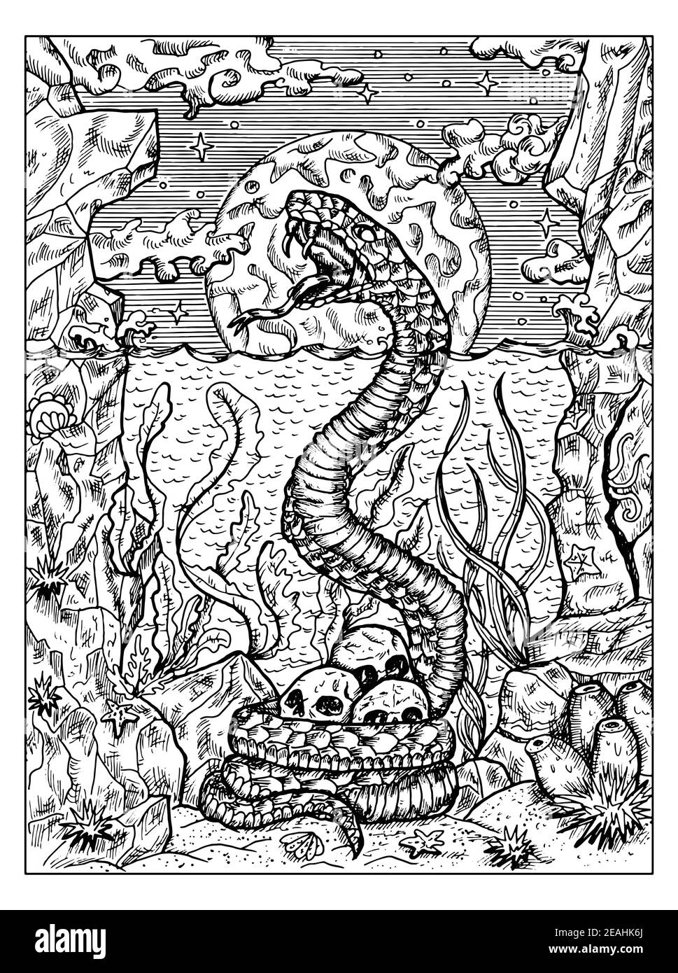 Black And White Snake High Resolution Stock Photography And Images Alamy Black And White Snake High Resolution Stock Photography And Images Alamy