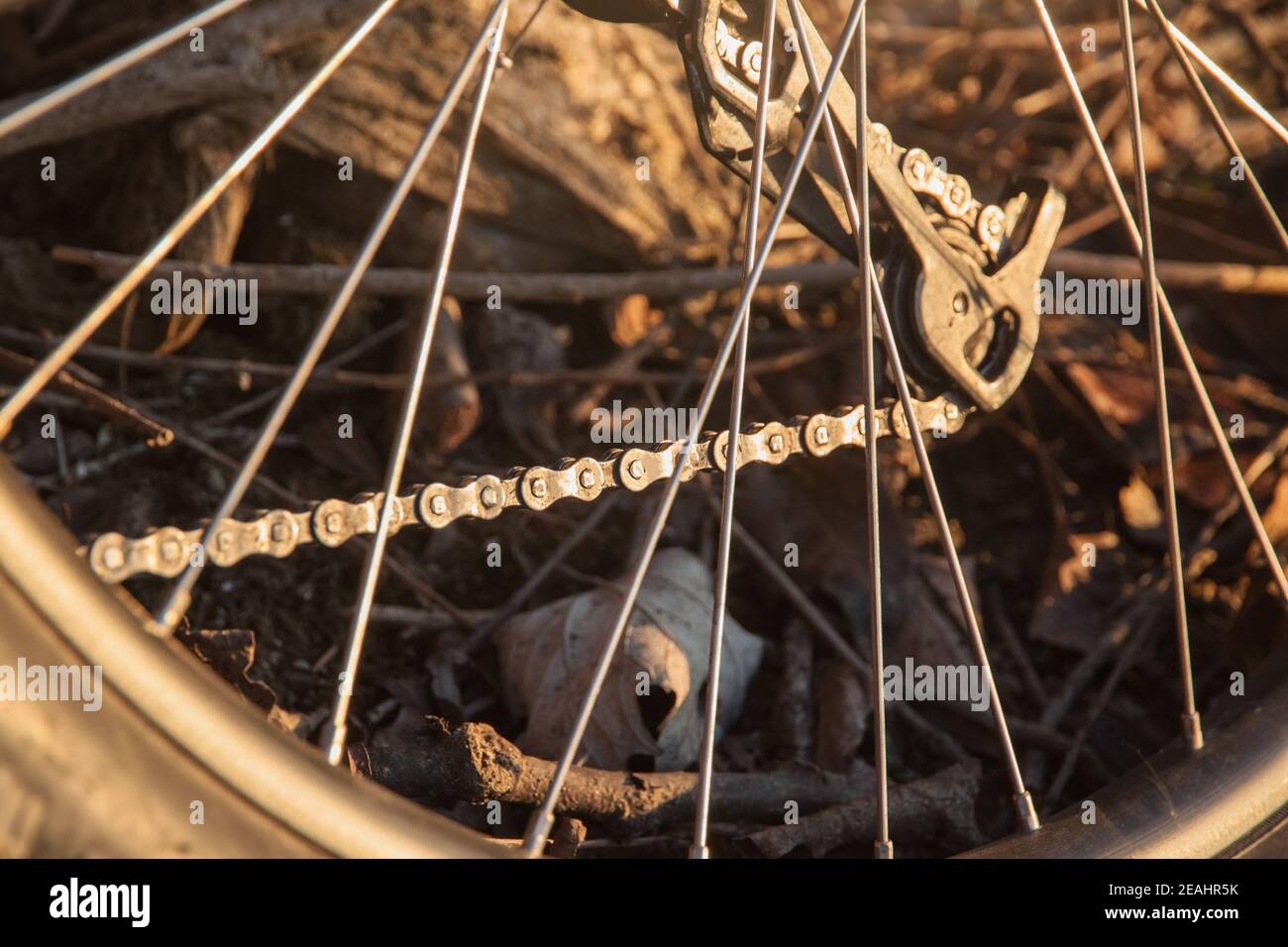 Rear derailleur mountain bike through the spokes of a wheel. Close-up Stock Photo