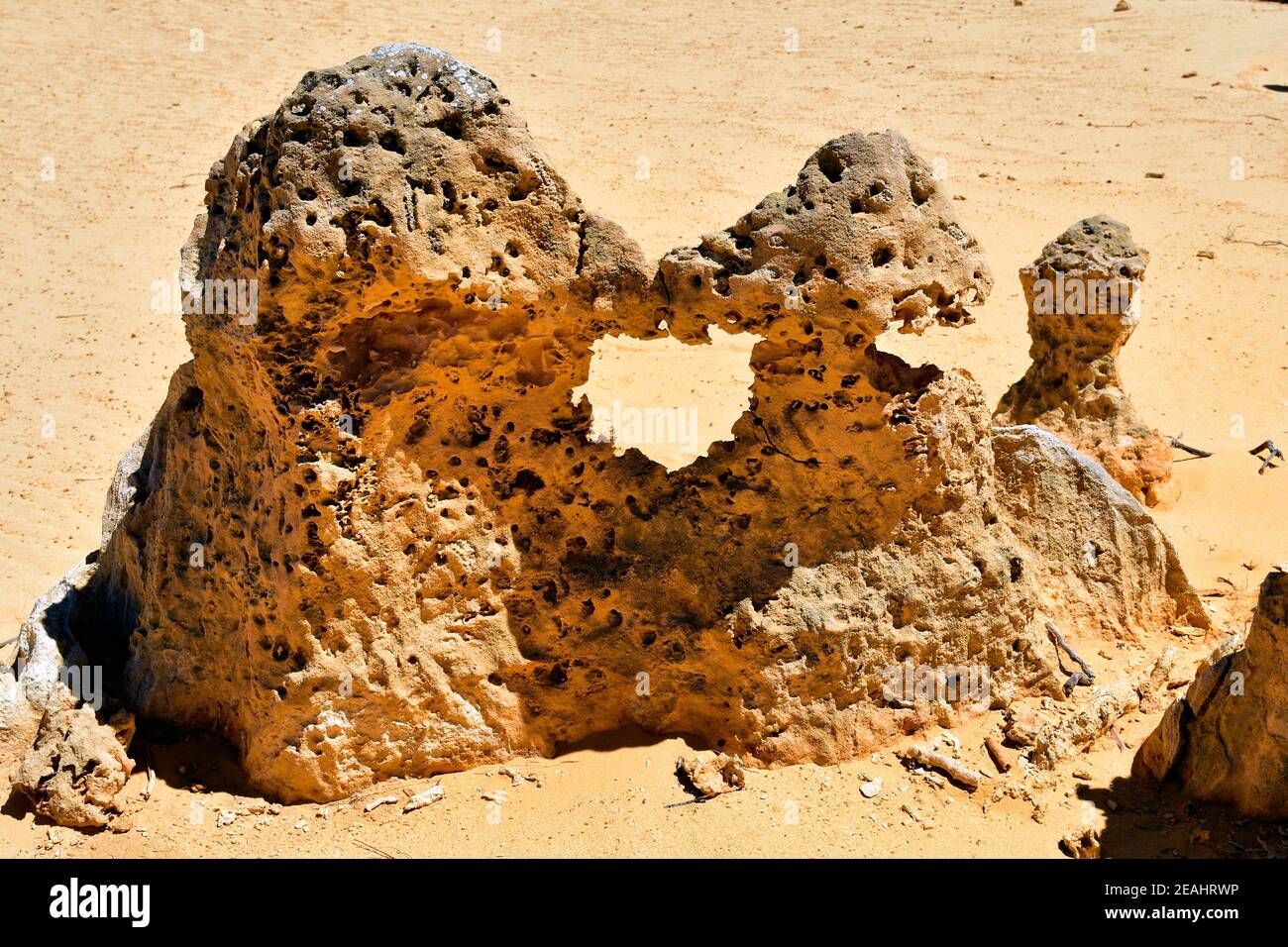 Weataustrakien, Steinformationen genannt die Pinnacles im Nambung Nationalpark bei Cervantes, Sehenswuerdigkeit und Touristenziel,  Australia, WA, The Stock Photo