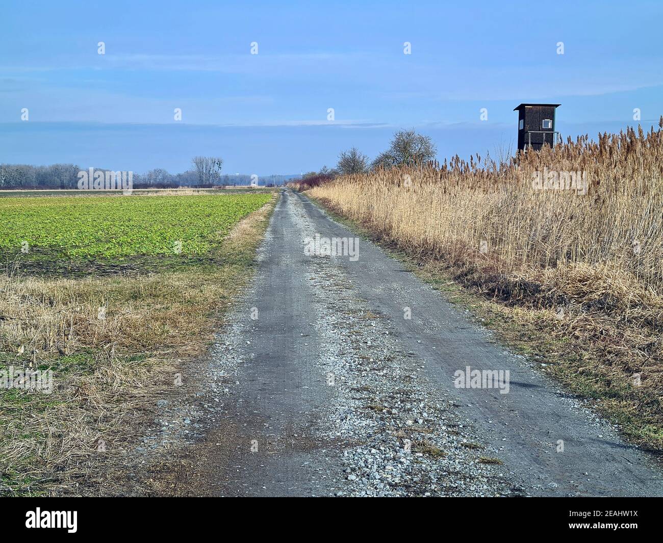 Austria,  agriculturally used country lanes and high seat for hunting Stock Photo