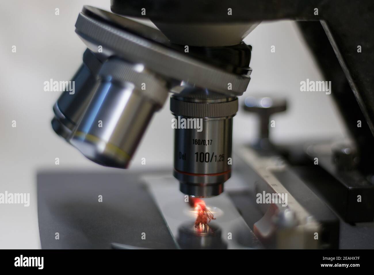 Nano threads hi-res stock photography and images - Alamy