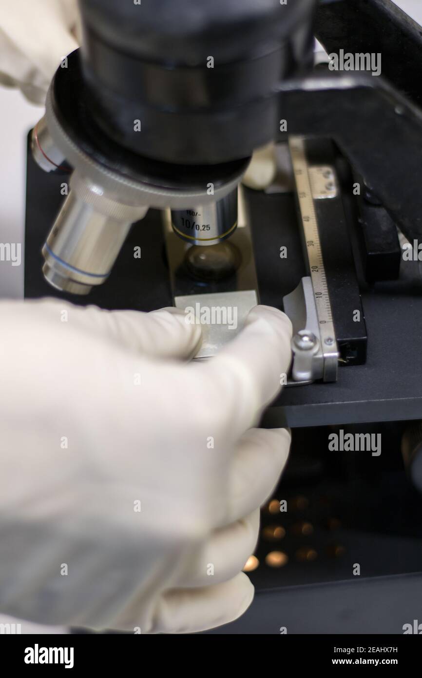 A slide under microscope hires stock photography and images Alamy