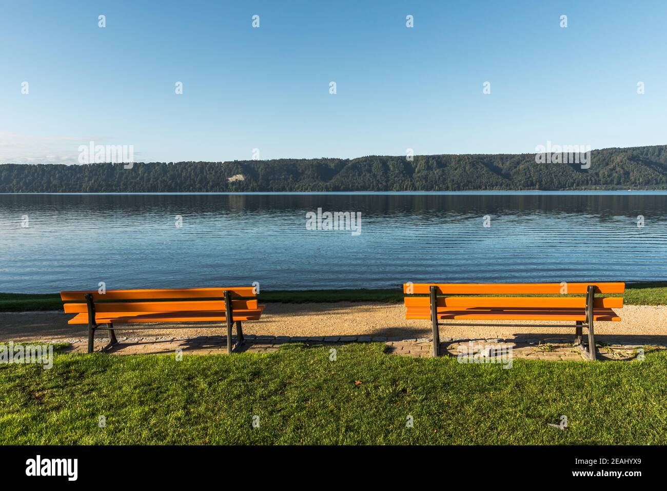 Benches on the shore in Sipplingen with view of Lake Constance, Baden-Wuerttemberg, Germany Stock Photo