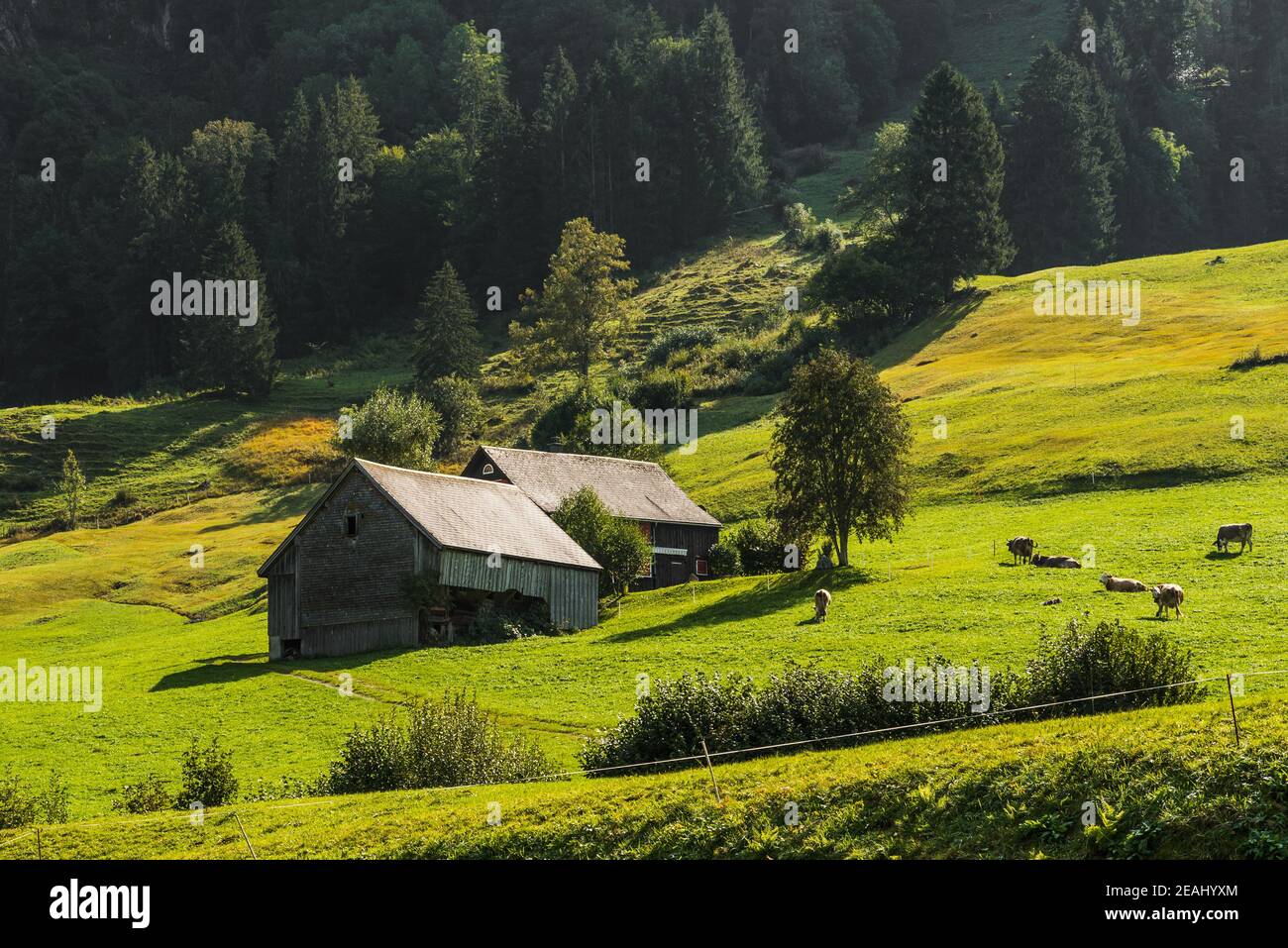 Pastures and alpine huts in the Swiss Alps, Toggenburg, Canton St. Gallen, Switzerland Stock Photo