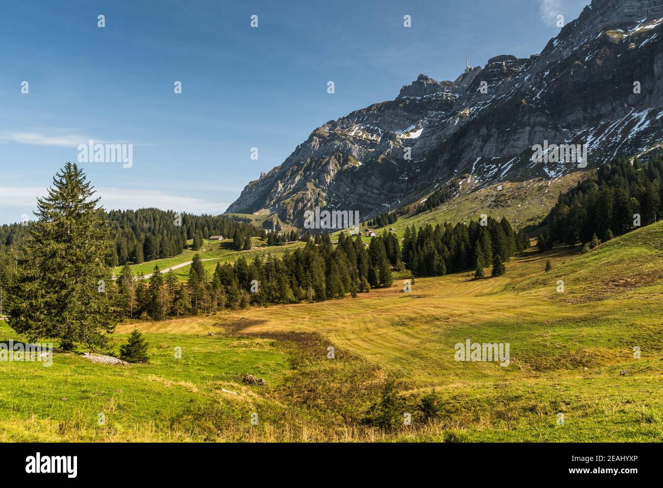 Pastureland on the Schwaegalp with Saentis massif, Canton St. Gallen, Switzerland Stock Photo