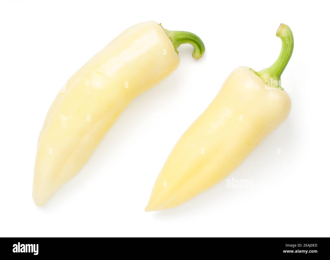 Sweet White Peppers Vegetable Isolated On White Stock Photo
