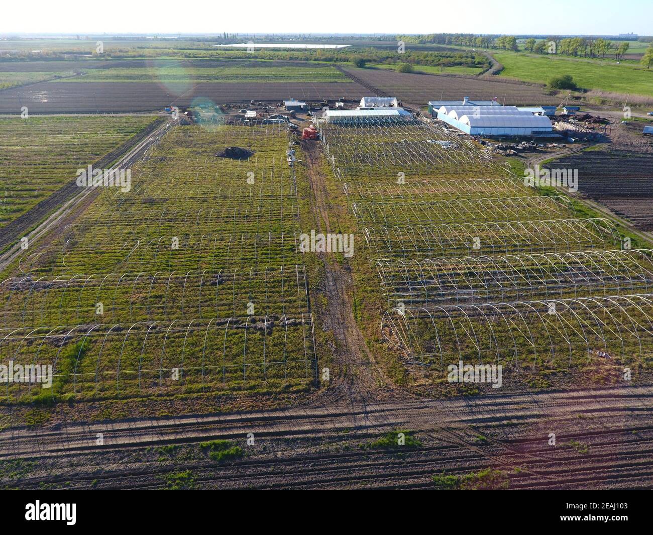 Frameworks of greenhouses, top view. Construction of greenhouses in the field. Agriculture, agrotechnics of closed ground Stock Photo