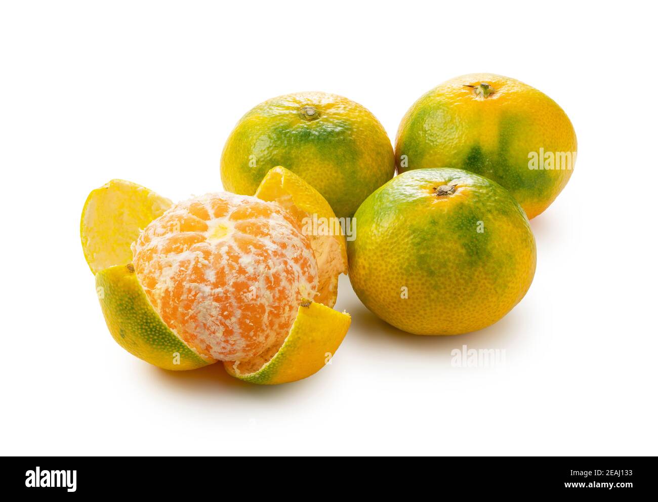 Early Japanese mandarin oranges on a white background Stock Photo Alamy